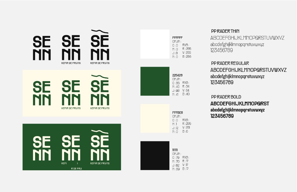 SENN logo variations, colors, and typography board